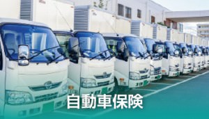 自動車保険
